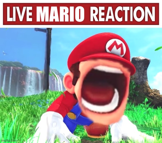 MARIO | image tagged in live x reaction,mario screaming | made w/ Imgflip meme maker