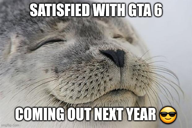 GTA 6 Getting released next year | SATISFIED WITH GTA 6; COMING OUT NEXT YEAR 😎 | image tagged in memes,satisfied seal,gta 6,2025,excited | made w/ Imgflip meme maker
