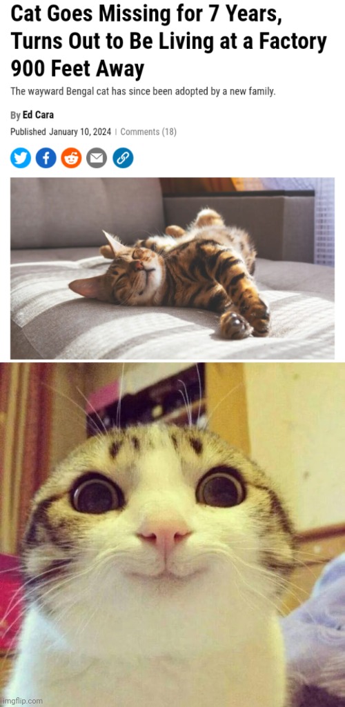 Living at a new factory | image tagged in memes,smiling cat,cats,cat,factory,adopted | made w/ Imgflip meme maker