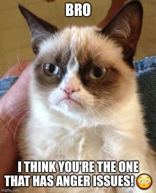 BRO I THINK YOU'RE THE ONE THAT HAS ANGER ISSUES! ? | image tagged in memes,grumpy cat | made w/ Imgflip meme maker