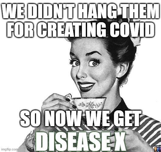 Covid 2024 | WE DIDN'T HANG THEM
FOR CREATING COVID; SO NOW WE GET; DISEASE X | image tagged in retro woman teacup,coronavirus,covid-19,covid,fauci,wuhan | made w/ Imgflip meme maker