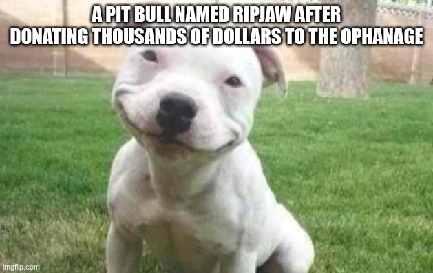 name isn't everything | A PIT BULL NAMED RIPJAW AFTER DONATING THOUSANDS OF DOLLARS TO THE OPHANAGE | image tagged in smiling pitbull | made w/ Imgflip meme maker