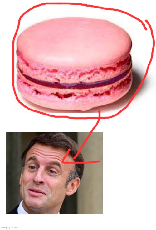Macron | image tagged in french | made w/ Imgflip meme maker