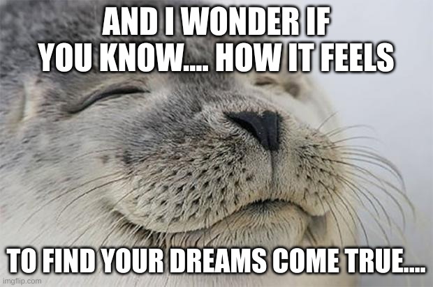 xd | AND I WONDER IF YOU KNOW.... HOW IT FEELS; TO FIND YOUR DREAMS COME TRUE.... | image tagged in memes,satisfied seal | made w/ Imgflip meme maker