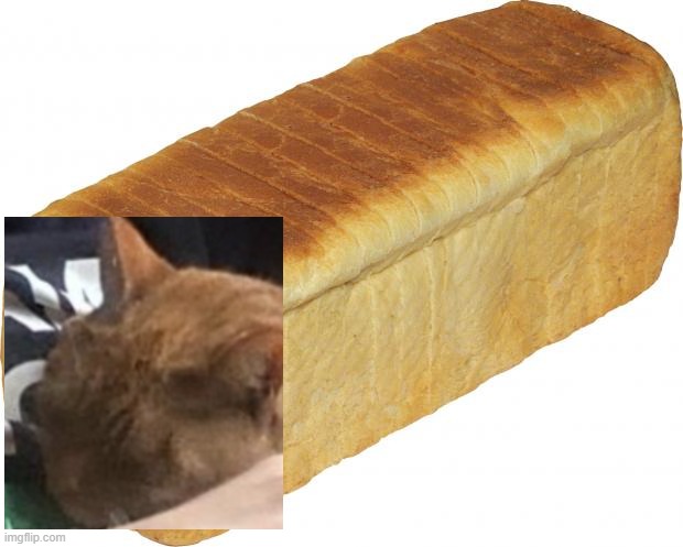 Breadddd | image tagged in breadddd | made w/ Imgflip meme maker
