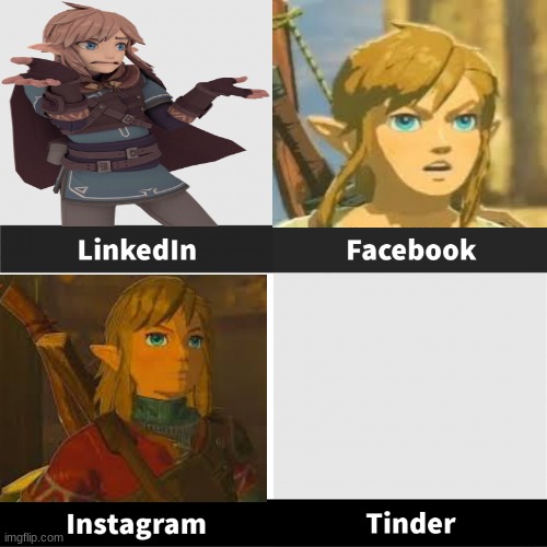 LinkedIn Facebook Instagram Tinder | image tagged in linkedin facebook instagram tinder | made w/ Imgflip meme maker