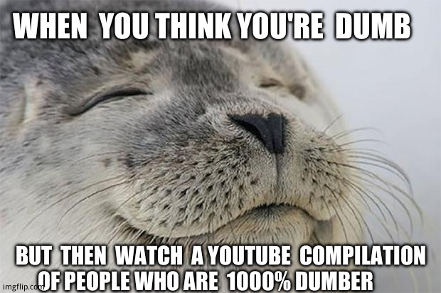 Satisfied Seal | WHEN  YOU THINK YOU'RE  DUMB; BUT  THEN  WATCH  A YOUTUBE  COMPILATION OF PEOPLE WHO ARE  1000% DUMBER | image tagged in memes,satisfied seal,from,stupid people,to,you know i'm something of a scientist myself | made w/ Imgflip meme maker