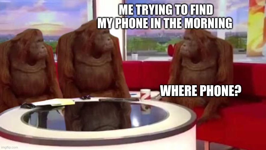 where monkey | ME TRYING TO FIND MY PHONE IN THE MORNING; WHERE PHONE? | image tagged in where monkey | made w/ Imgflip meme maker