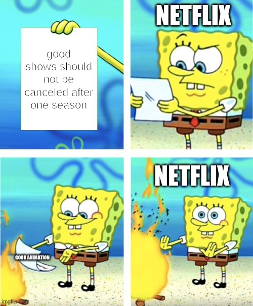 Vent your frustrations of good shows cancelled too early. | NETFLIX; good shows should not be canceled after one season; NETFLIX; GOOD ANIMATION | image tagged in spongebob burning paper,cartoons,animation,netflix | made w/ Imgflip meme maker
