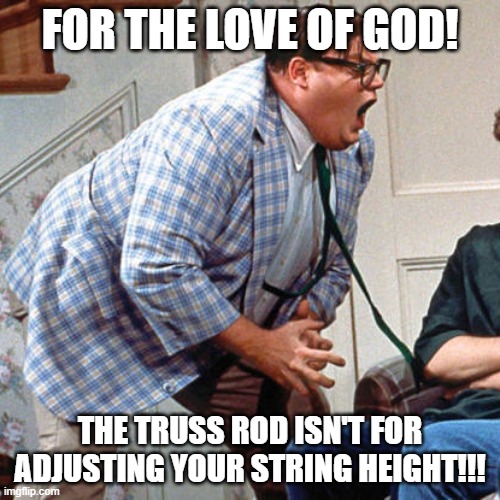 The Guitar's Truss Rod! | FOR THE LOVE OF GOD! THE TRUSS ROD ISN'T FOR ADJUSTING YOUR STRING HEIGHT!!! | image tagged in chris farley for the love of god | made w/ Imgflip meme maker