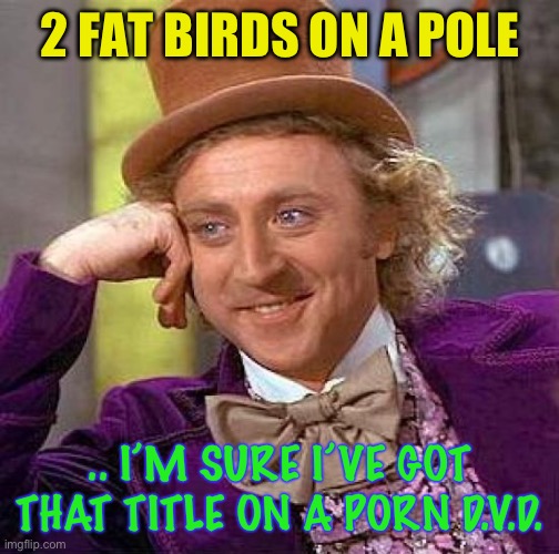 Creepy Condescending Wonka Meme | 2 FAT BIRDS ON A POLE .. I’M SURE I’VE GOT THAT TITLE ON A PORN D.V.D. | image tagged in memes,creepy condescending wonka | made w/ Imgflip meme maker