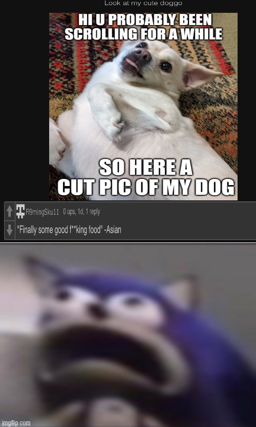 d o g g o  y u m m y  : ) | made w/ Imgflip meme maker