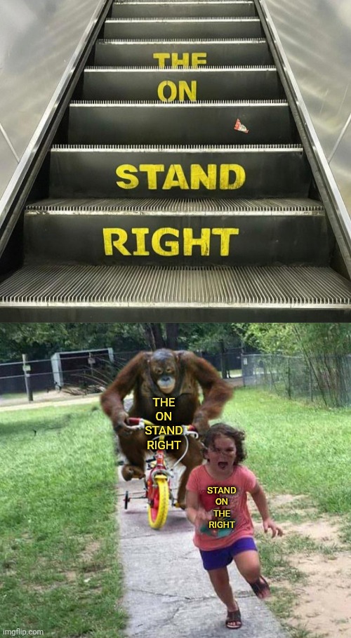 The on stand right | THE ON STAND RIGHT; STAND ON THE RIGHT | image tagged in run,escalator,you had one job,memes,stand,right | made w/ Imgflip meme maker