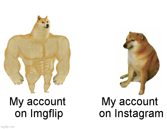 Help my page reachhhh!! | My account 
on Imgflip; My account 
on Instagram | image tagged in memes,buff doge vs cheems,funny memes | made w/ Imgflip meme maker