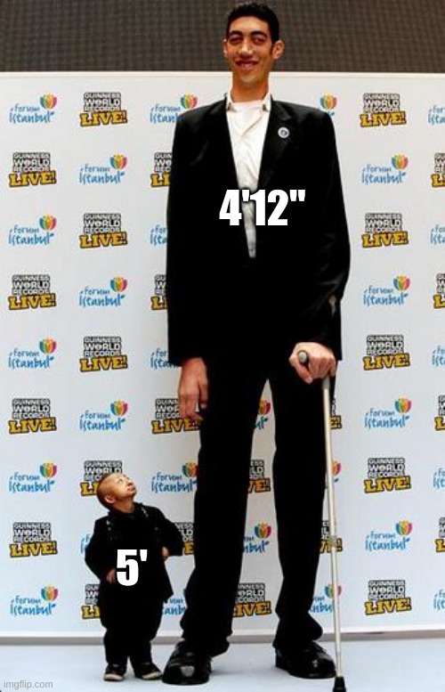 the tallest and shortest man in the world | 4'12"; 5' | image tagged in the tallest and shortest man in the world | made w/ Imgflip meme maker