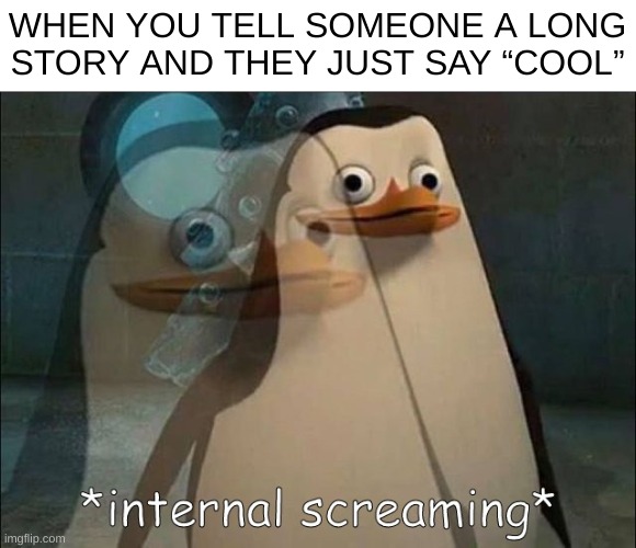 Painful, like literally | WHEN YOU TELL SOMEONE A LONG STORY AND THEY JUST SAY “COOL” | image tagged in private internal screaming,social,people,screaming | made w/ Imgflip meme maker