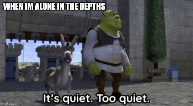 It’s quiet too quiet Shrek | WHEN IM ALONE IN THE DEPTHS | image tagged in it s quiet too quiet shrek,zelda | made w/ Imgflip meme maker
