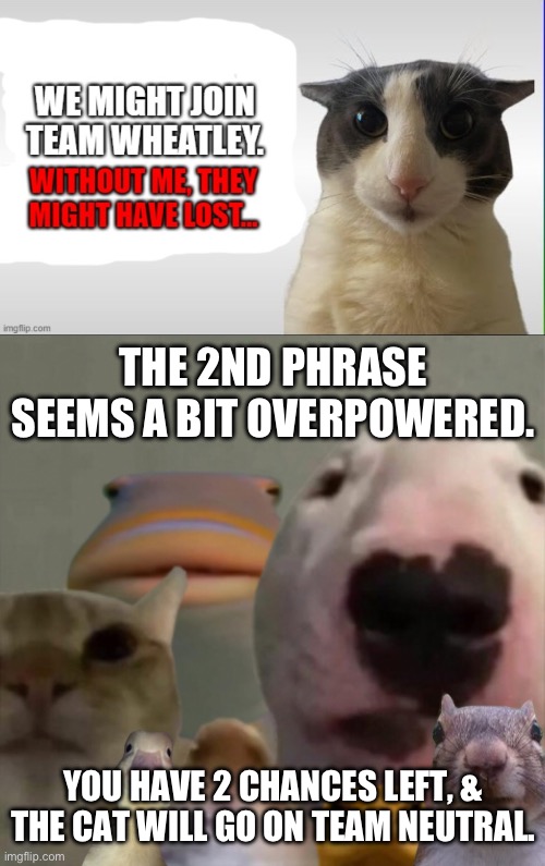 lol | THE 2ND PHRASE SEEMS A BIT OVERPOWERED. YOU HAVE 2 CHANCES LEFT, & THE CAT WILL GO ON TEAM NEUTRAL. | image tagged in the council remastered | made w/ Imgflip meme maker