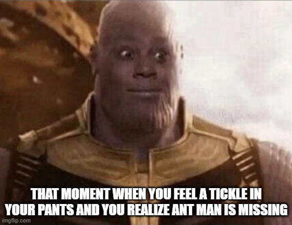 Ant Man Went for It | THAT MOMENT WHEN YOU FEEL A TICKLE IN YOUR PANTS AND YOU REALIZE ANT MAN IS MISSING | image tagged in thanos,ant man | made w/ Imgflip meme maker
