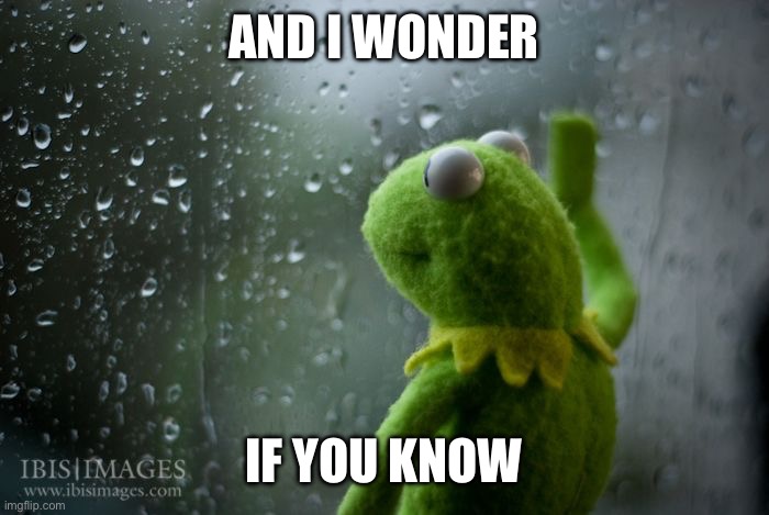 What it means | AND I WONDER; IF YOU KNOW | image tagged in kermit window,what it means | made w/ Imgflip meme maker