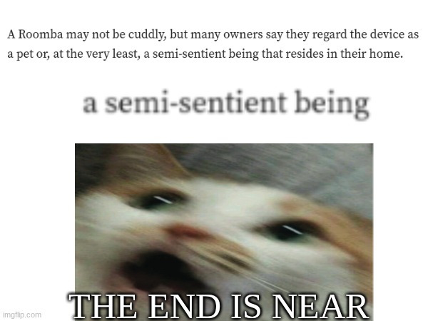Sentience?! | THE END IS NEAR | image tagged in robot | made w/ Imgflip meme maker
