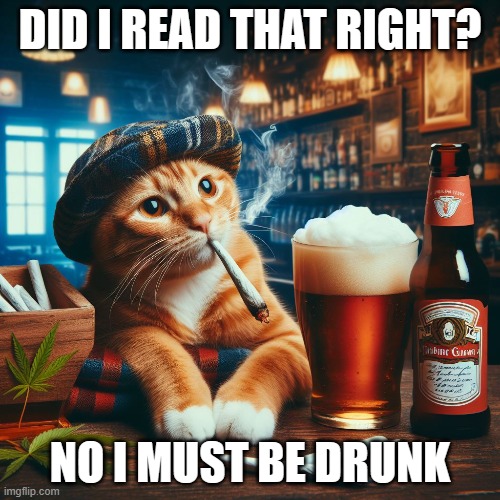 Cat Thoughts | DID I READ THAT RIGHT? NO I MUST BE DRUNK | image tagged in sarcasm | made w/ Imgflip meme maker