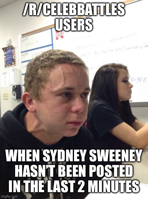 Angry guy class | /R/CELEBBATTLES USERS; WHEN SYDNEY SWEENEY HASN’T BEEN POSTED IN THE LAST 2 MINUTES | image tagged in angry guy class | made w/ Imgflip meme maker