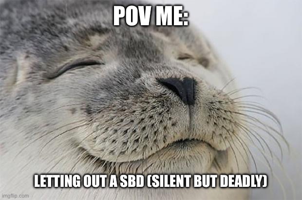 Satisfied Seal Meme | POV ME:; LETTING OUT A SBD (SILENT BUT DEADLY) | image tagged in memes,satisfied seal | made w/ Imgflip meme maker