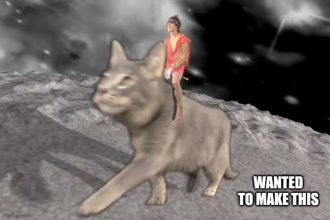 MGMT cat rider | WANTED TO MAKE THIS | image tagged in mgmt cat rider | made w/ Imgflip meme maker