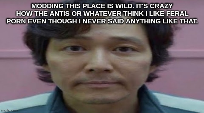 gi hun stare | MODDING THIS PLACE IS WILD. IT'S CRAZY HOW THE ANTIS OR WHATEVER THINK I LIKE FERAL PORN EVEN THOUGH I NEVER SAID ANYTHING LIKE THAT. | image tagged in gi hun stare | made w/ Imgflip meme maker