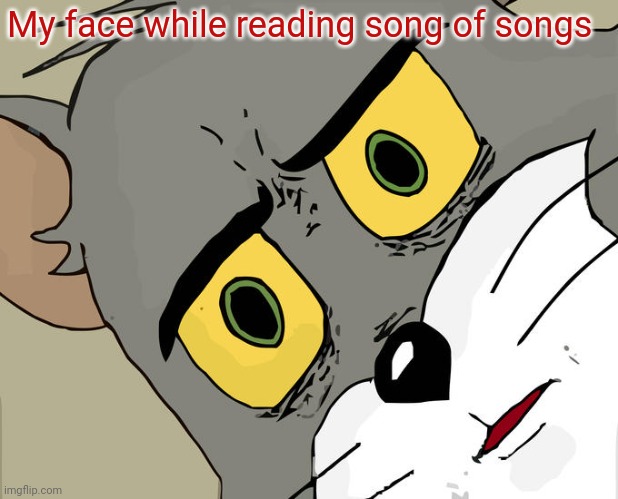 Unsettled Tom Meme | My face while reading song of songs | image tagged in memes,unsettled tom | made w/ Imgflip meme maker