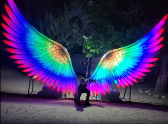 Man with Rainbow wings Blank Meme Template