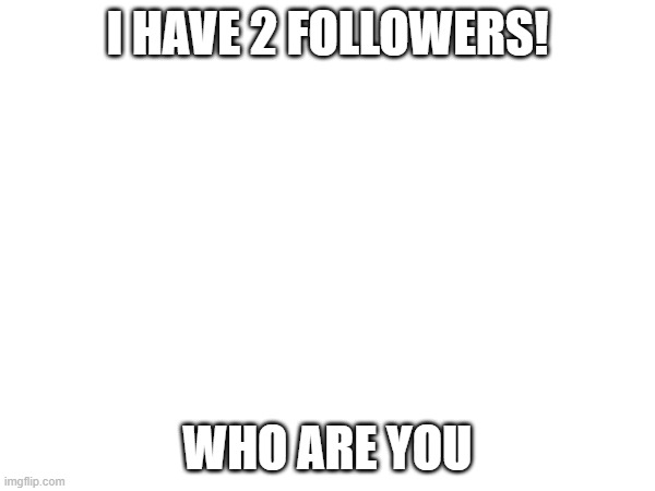 tell me | I HAVE 2 FOLLOWERS! WHO ARE YOU | image tagged in follow | made w/ Imgflip meme maker