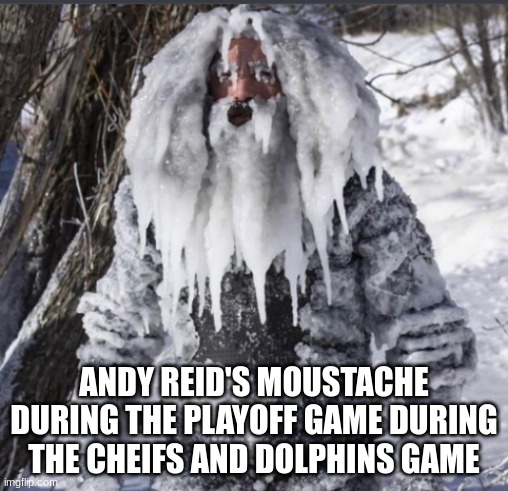 Frozen beard Guy | ANDY REID'S MOUSTACHE DURING THE PLAYOFF GAME DURING THE CHEIFS AND DOLPHINS GAME | image tagged in frozen beard guy | made w/ Imgflip meme maker