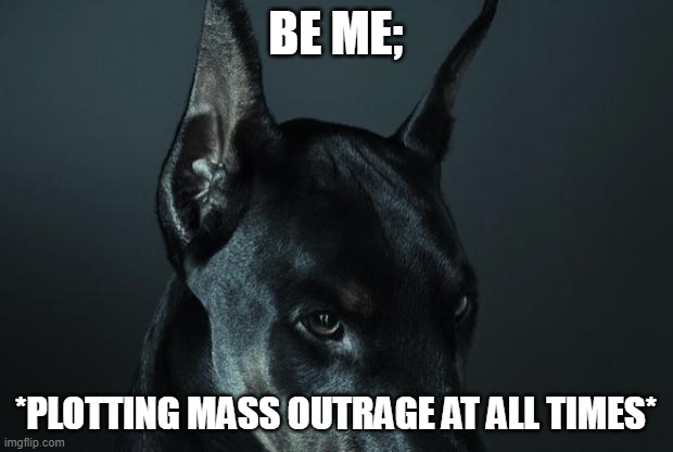If not me, THEN WHO WILL STAND UP FOR THE GEATER GOOD | BE ME;; *PLOTTING MASS OUTRAGE AT ALL TIMES* | image tagged in doberman,dogs,outrage,annoying | made w/ Imgflip meme maker