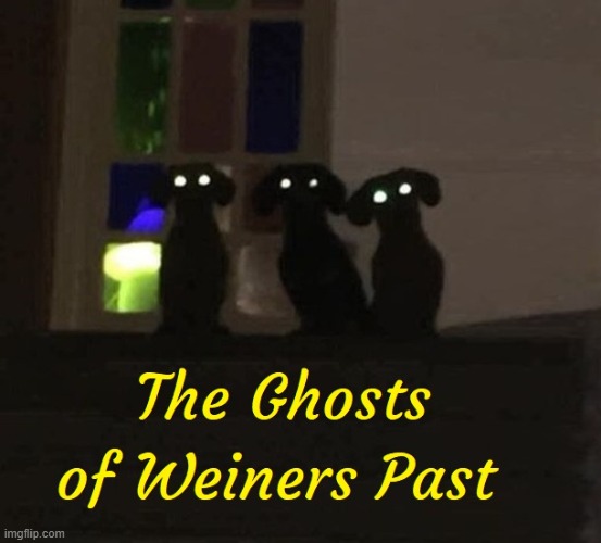 Weiner Dogs | image tagged in ghost of christmas past,memes,vince vance,weiner dogs,christmas carol,charles dickens | made w/ Imgflip meme maker