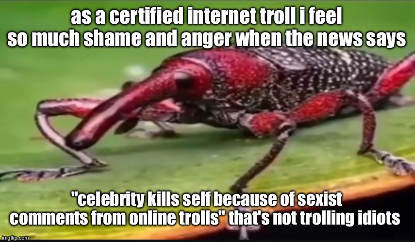 bug | as a certified internet troll i feel so much shame and anger when the news says; "celebrity kills self because of sexist comments from online trolls" that's not trolling idiots | image tagged in bug | made w/ Imgflip meme maker