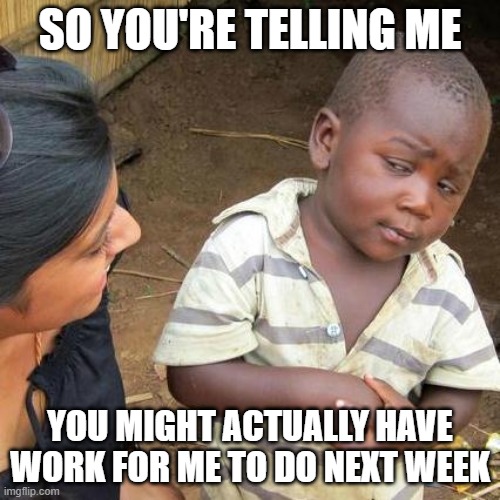 Third World Skeptical Kid Meme | SO YOU'RE TELLING ME; YOU MIGHT ACTUALLY HAVE WORK FOR ME TO DO NEXT WEEK | image tagged in memes,third world skeptical kid | made w/ Imgflip meme maker