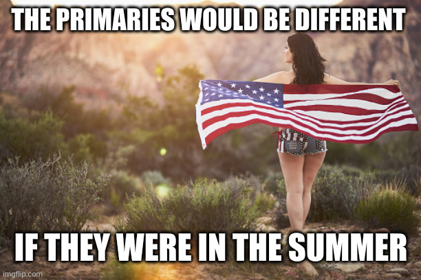 Different people would show up in the summer | THE PRIMARIES WOULD BE DIFFERENT; IF THEY WERE IN THE SUMMER | image tagged in american flag girl brunette,primaries,summer time,good vibes,election,memes | made w/ Imgflip meme maker