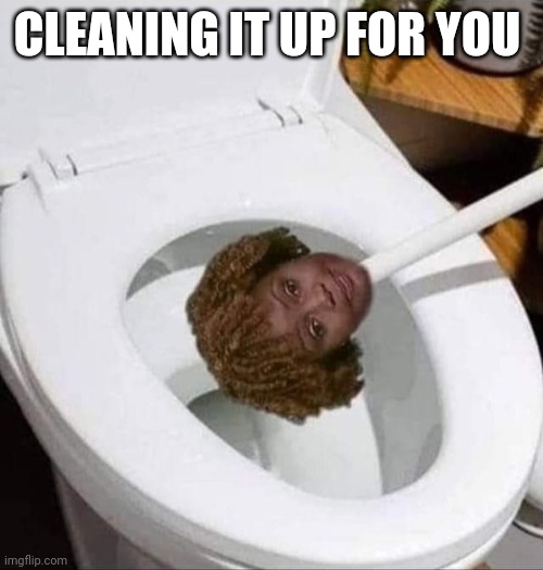 Karinne Toilet Brush | CLEANING IT UP FOR YOU | image tagged in karinne toilet brush | made w/ Imgflip meme maker