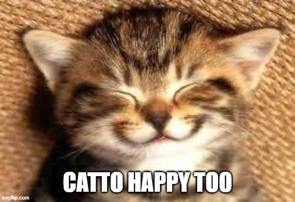 Happy Cat  | CATTO HAPPY TOO | image tagged in happy cat | made w/ Imgflip meme maker