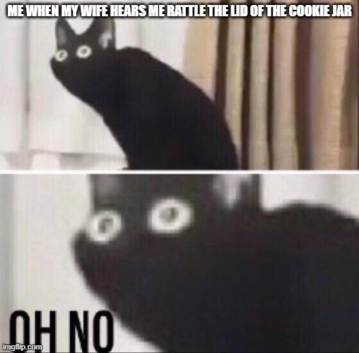 My grandpa made this | ME WHEN MY WIFE HEARS ME RATTLE THE LID OF THE COOKIE JAR | image tagged in oh no cat,cookie jar | made w/ Imgflip meme maker