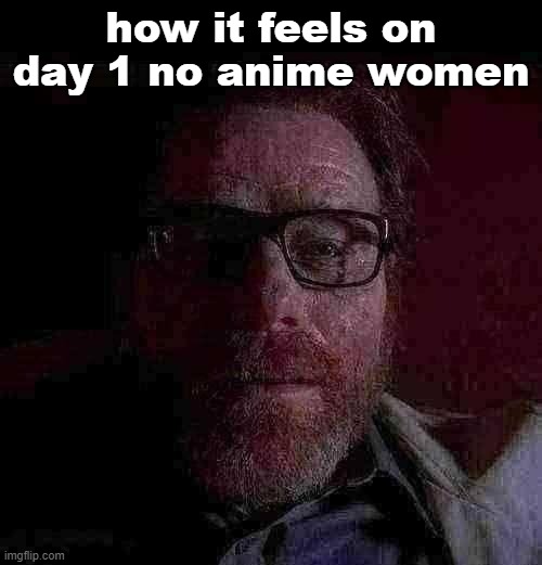 bro didn't take his dose of anime memes | how it feels on day 1 no anime women | image tagged in walter white,sad,anime girl,anime,cute,memes | made w/ Imgflip meme maker