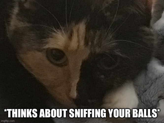 Don’t worry, if you run from her, she won’t catch up. Cuz she’s fat | *THINKS ABOUT SNIFFING YOUR BALLS* | made w/ Imgflip meme maker