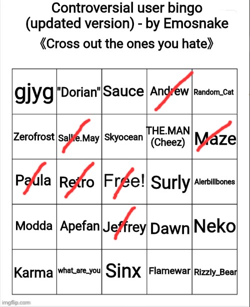 Sallie is corny and a snowflake fr fr | image tagged in controversial user bingo updated version - by emosnake | made w/ Imgflip meme maker