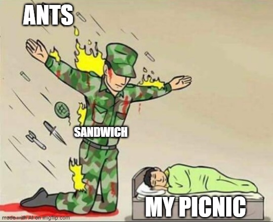 GPT made me LOL | ANTS; SANDWICH; MY PICNIC | image tagged in soldier protecting sleeping child,memes,ai meme,ants,picnic,sandwich | made w/ Imgflip meme maker