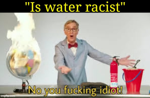 No you fucking idiot | "Is water racist" | image tagged in no you fucking idiot | made w/ Imgflip meme maker