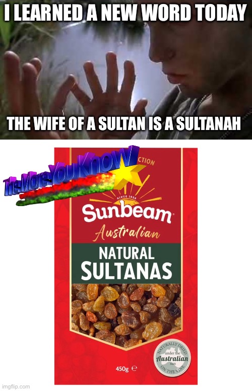 Sultanah Sultana | I LEARNED A NEW WORD TODAY; THE WIFE OF A SULTAN IS A SULTANAH | image tagged in i learned a new word today,sultana,bad pun | made w/ Imgflip meme maker