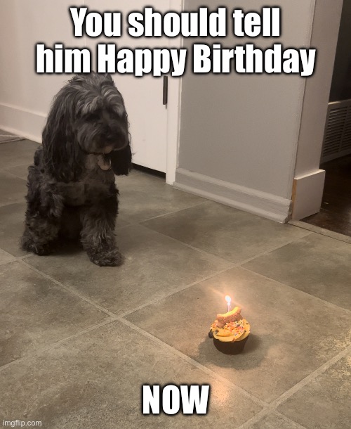 He just turned 5 :) | You should tell him Happy Birthday; NOW | made w/ Imgflip meme maker