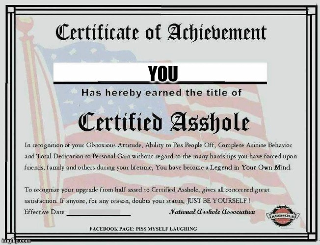 . | YOU | image tagged in certified asshole | made w/ Imgflip meme maker